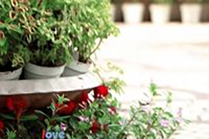 樱花烂漫服饰（一）